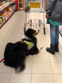 Seite an Seite ins Leben Signalhund f&uuml;r Epilepsie